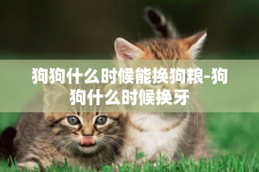 狗狗什么時候能換狗糧-狗狗什么時候換牙