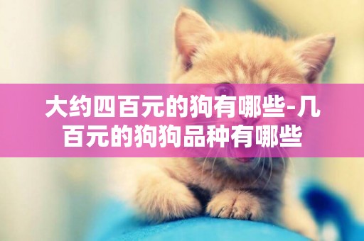 大約四百元的狗有哪些-幾百元的狗狗品種有哪些