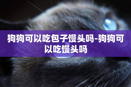 狗狗可以吃包子饅頭嗎-狗狗可以吃饅頭嗎