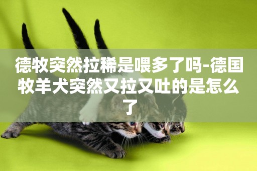 德牧突然拉稀是喂多了嗎-德國牧羊犬突然又拉又吐的是怎么了