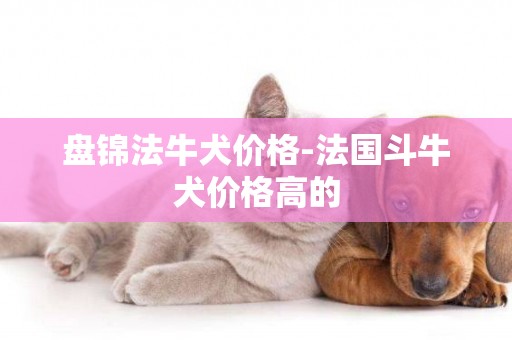 盤錦法牛犬價格-法國斗牛犬價格高的