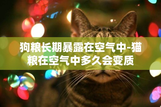 狗糧長期暴露在空氣中-貓糧在空氣中多久會變質