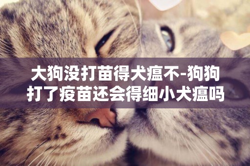 大狗沒打苗得犬瘟不-狗狗打了疫苗還會得細小犬瘟嗎