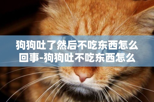 狗狗吐了然后不吃東西怎么回事-狗狗吐不吃東西怎么回事