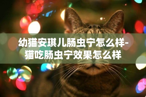 幼貓安琪兒腸蟲寧怎么樣-貓吃腸蟲寧效果怎么樣