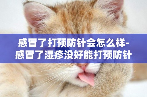 感冒了打預防針會怎么樣-感冒了濕疹沒好能打預防針嗎