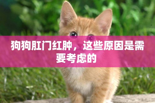狗狗肛門紅腫，這些原因是需要考慮的 