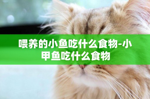 喂養的小魚吃什么食物-小甲魚吃什么食物