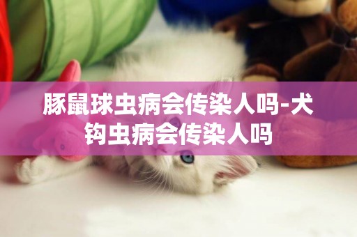 豚鼠球蟲病會傳染人嗎-犬鉤蟲病會傳染人嗎