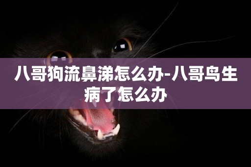 八哥狗流鼻涕怎么辦-八哥鳥生病了怎么辦