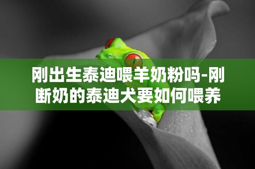 剛出生泰迪喂羊奶粉嗎-剛斷奶的泰迪犬要如何喂養