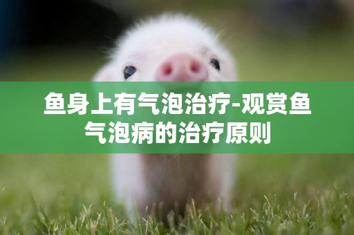 魚身上有氣泡治療-觀賞魚氣泡病的治療原則