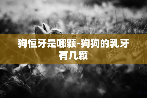 狗恒牙是哪顆-狗狗的乳牙有幾顆