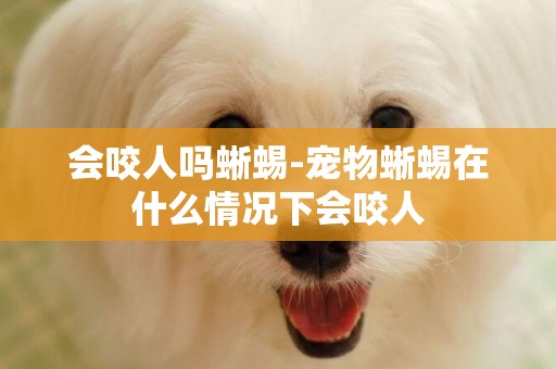 會咬人嗎蜥蜴-寵物蜥蜴在什么情況下會咬人