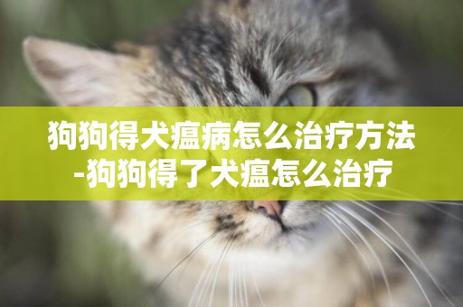狗狗得犬瘟病怎么治療方法-狗狗得了犬瘟怎么治療