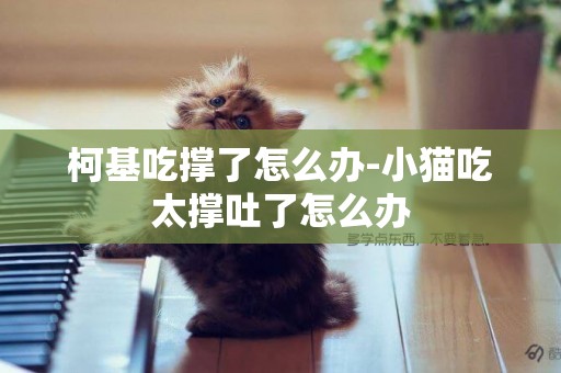 柯基吃撐了怎么辦-小貓吃太撐吐了怎么辦