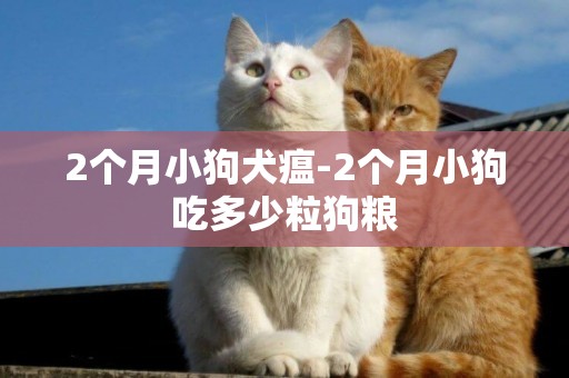 2個月小狗犬瘟-2個月小狗吃多少粒狗糧