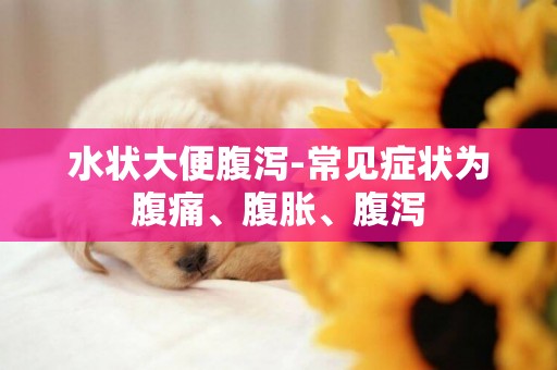 水狀大便腹瀉-常見癥狀為腹痛、腹脹、腹瀉
