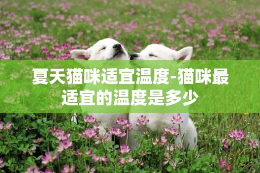 夏天貓咪適宜溫度-貓咪最適宜的溫度是多少