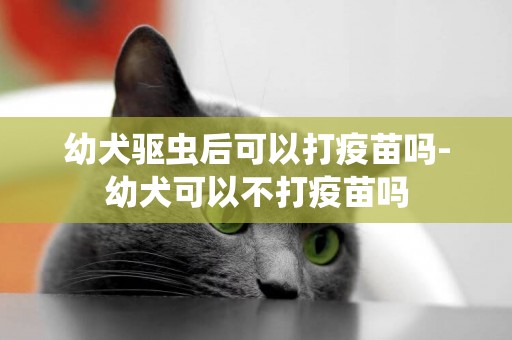 幼犬驅蟲后可以打疫苗嗎-幼犬可以不打疫苗嗎
