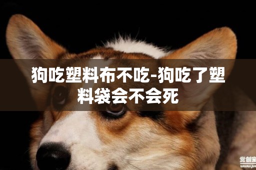狗吃塑料布不吃-狗吃了塑料袋會不會死