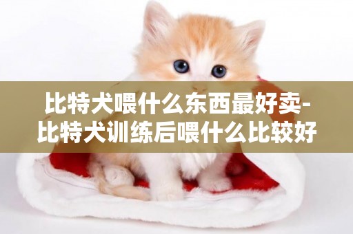 比特犬喂什么東西最好賣-比特犬訓練后喂什么比較好