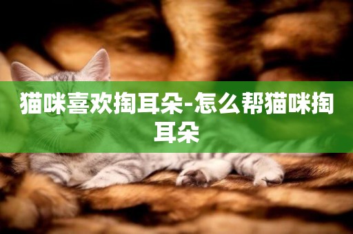貓咪喜歡掏耳朵-怎么幫貓咪掏耳朵