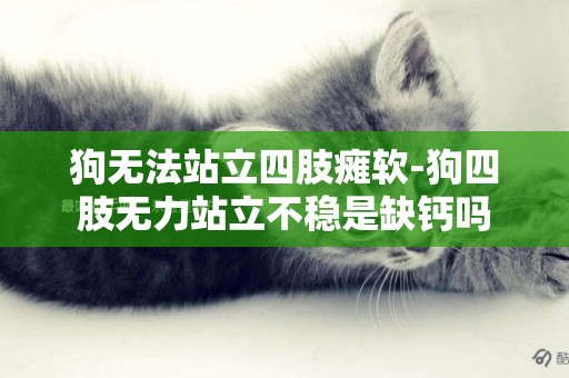 狗無法站立四肢癱軟-狗四肢無力站立不穩是缺鈣嗎