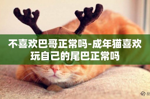 不喜歡巴哥正常嗎-成年貓喜歡玩自己的尾巴正常嗎