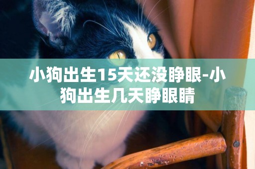 小狗出生15天還沒睜眼-小狗出生幾天睜眼睛