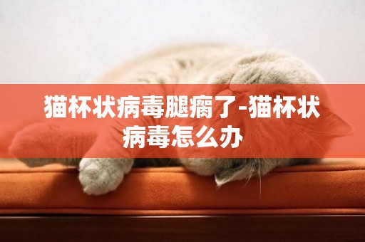 貓杯狀病毒腿瘸了-貓杯狀病毒怎么辦