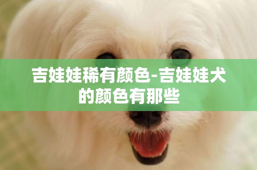 吉娃娃稀有顏色-吉娃娃犬的顏色有那些