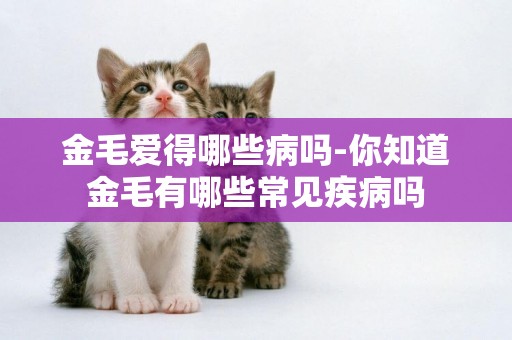 金毛愛得哪些病嗎-你知道金毛有哪些常見疾病嗎