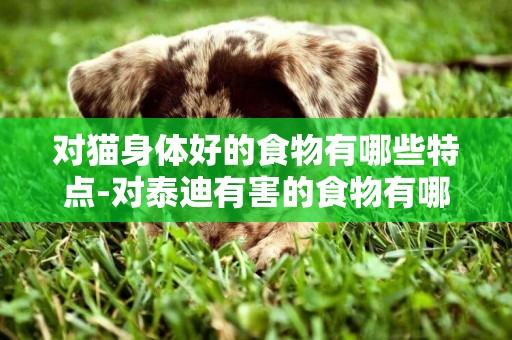 對貓身體好的食物有哪些特點-對泰迪有害的食物有哪些