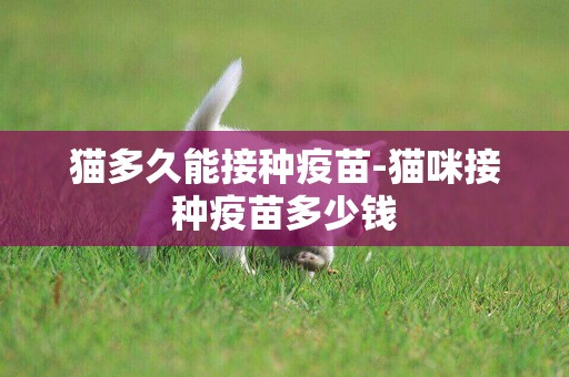 貓多久能接種疫苗-貓咪接種疫苗多少錢