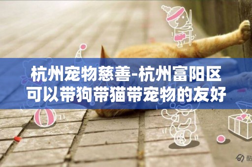 杭州寵物慈善-杭州富陽區可以帶狗帶貓帶寵物的友好景點