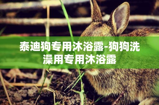 泰迪狗專用沐浴露-狗狗洗澡用專用沐浴露