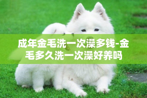 成年金毛洗一次澡多錢-金毛多久洗一次澡好養嗎