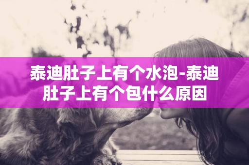 泰迪肚子上有個水泡-泰迪肚子上有個包什么原因