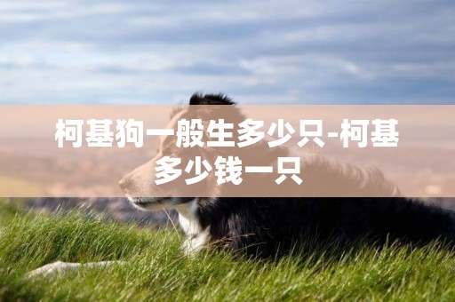 柯基狗一般生多少只-柯基多少錢一只