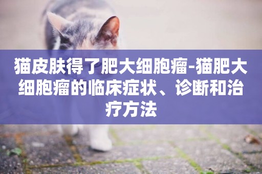 貓皮膚得了肥大細胞瘤-貓肥大細胞瘤的臨床癥狀、診斷和治療方法