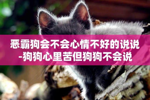 惡霸狗會不會心情不好的說說-狗狗心里苦但狗狗不會說