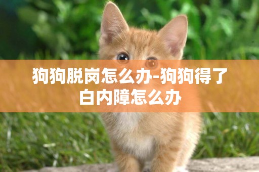 狗狗脫崗怎么辦-狗狗得了白內障怎么辦