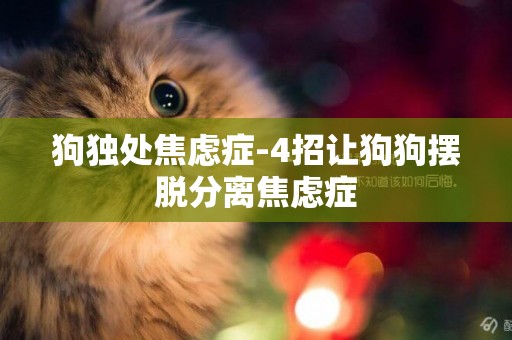狗獨處焦慮癥-4招讓狗狗擺脫分離焦慮癥