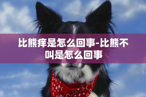 比熊癢是怎么回事-比熊不叫是怎么回事
