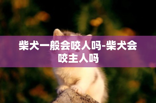 柴犬一般會咬人嗎-柴犬會咬主人嗎