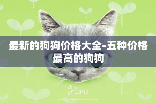 最新的狗狗價格大全-五種價格最高的狗狗