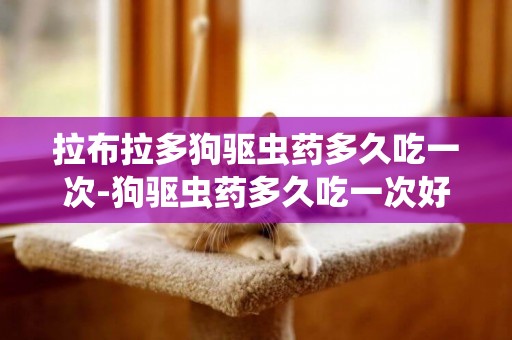 拉布拉多狗驅蟲藥多久吃一次-狗驅蟲藥多久吃一次好