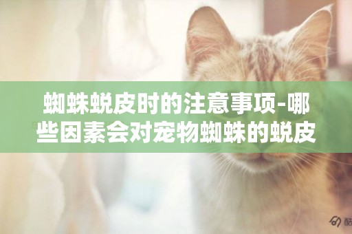 蜘蛛蛻皮時的注意事項-哪些因素會對寵物蜘蛛的蛻皮造成影響