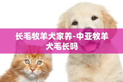 長毛牧羊犬家養-中亞牧羊犬毛長嗎